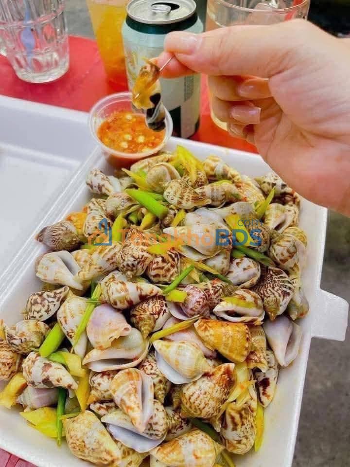 Đất nền 2 Lô Liền Kề Đông Tân Học, Hà Tĩnh - 288m² Giá 3.2 Tỷ