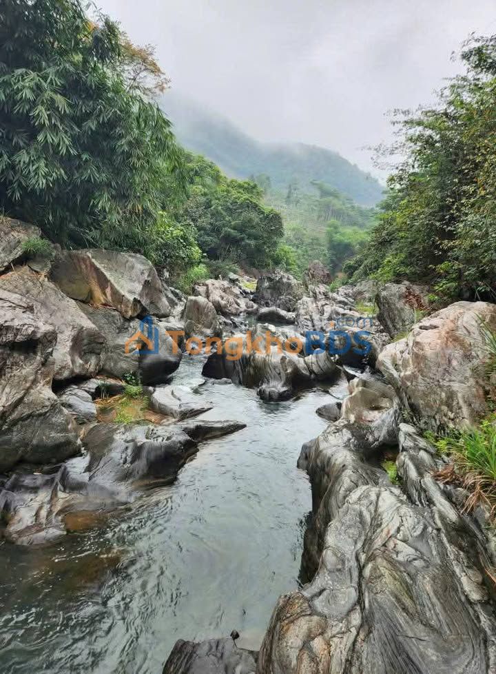 Đất Vườn Nghỉ Dưỡng 12000m² Mặt Suối Thác - Phú Thọ Giá Tốt