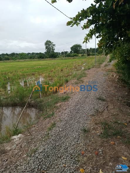 Đất Vườn Mặt Tiền Kênh Đôi An Giang - Sổ Đỏ Rõ Ràng