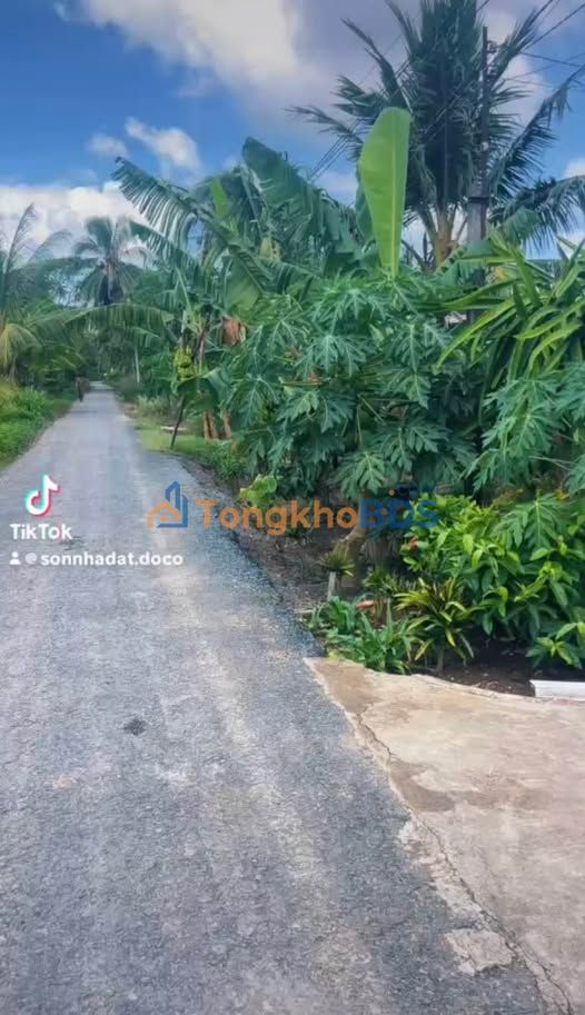 Bán Gấp Đất Mặt Tiền Đường Nhựa Nguyễn Văn Huỳnh, Sóc Trăng - 480m² Giá Tốt