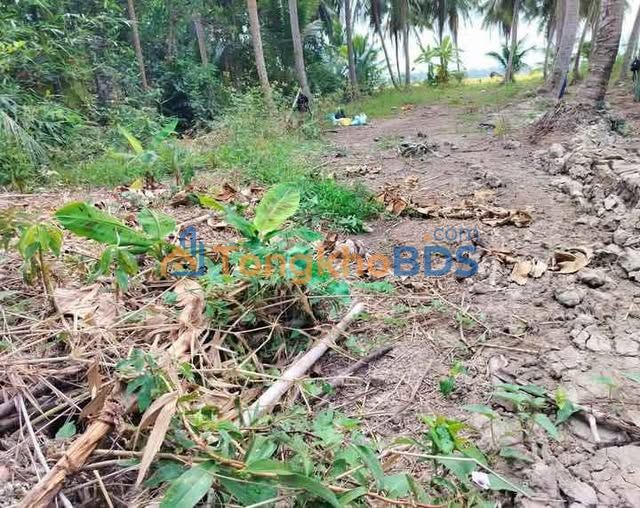 Bán gấp đất 80m² Bến Cát, Bình Dương - Mặt tiền lộ đal, view sông, nở hậu