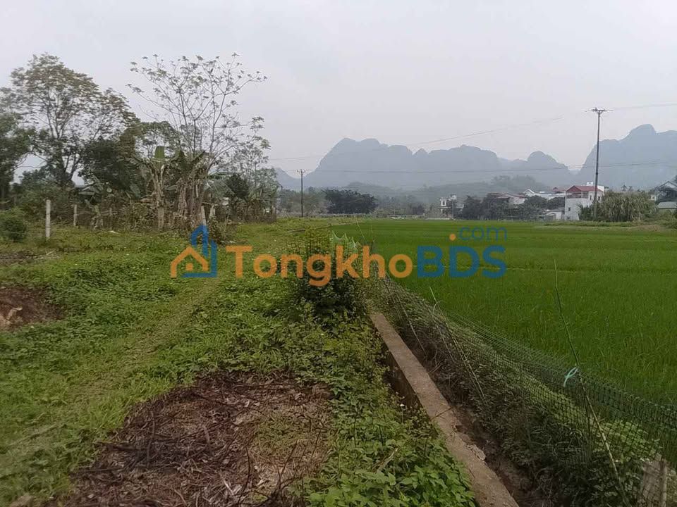 Đất nền Kim Bôi 1400m² - View đồng thoáng đãng, tiềm năng đầu tư sinh lời