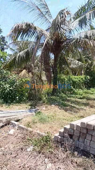 Đất nền mặt tiền Tỉnh lộ 877, Tân Phú Đông, Tiền Giang - 80m²