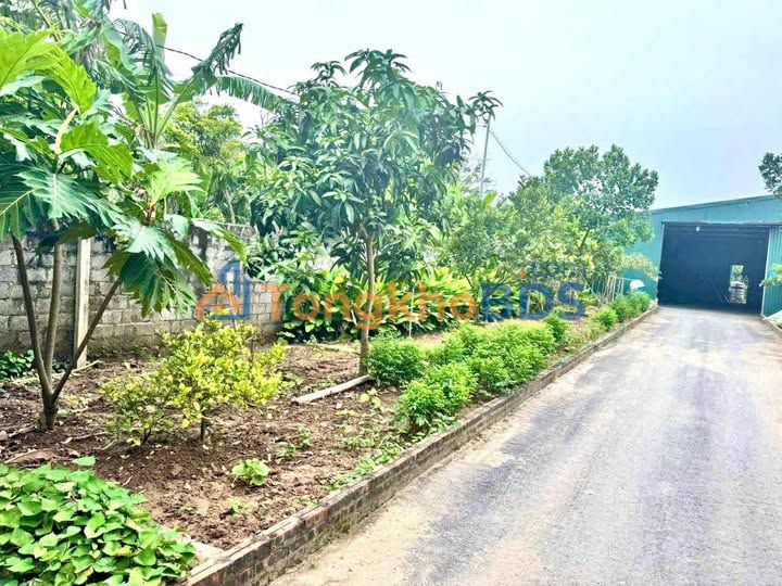 Bán trang trại Vạn Phúc, Thanh Trì 1400m² - Mặt tiền 30m, Sổ đỏ lâu năm
