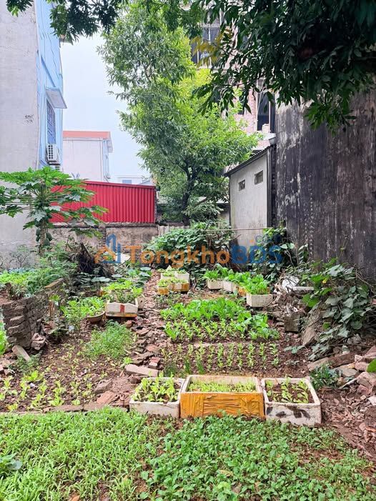 Đất nền Đại Áng, Thanh Trì 38m² - Giá đầu tư, tiềm năng tăng giá