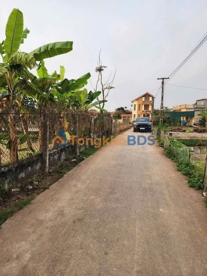 Đất Nền Vượng Khí Quốc Tuấn, Kiến Xương - 80m² Giá Chỉ 3xx Triệu