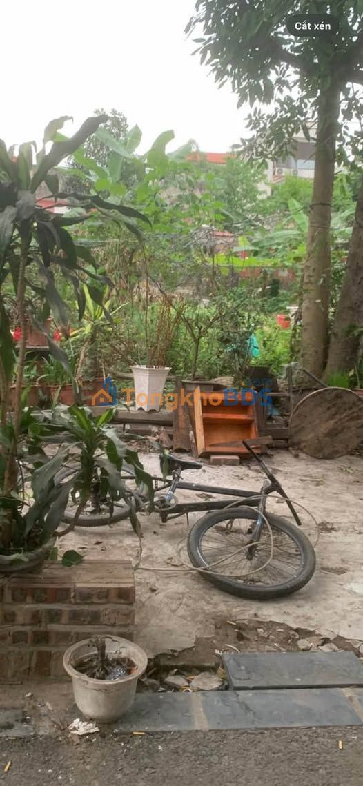 Bán Đất Uy Nỗ, Đông Anh 248m² - Sổ Đỏ Sẵn Sàng, Giá Đầu Tư Hời!