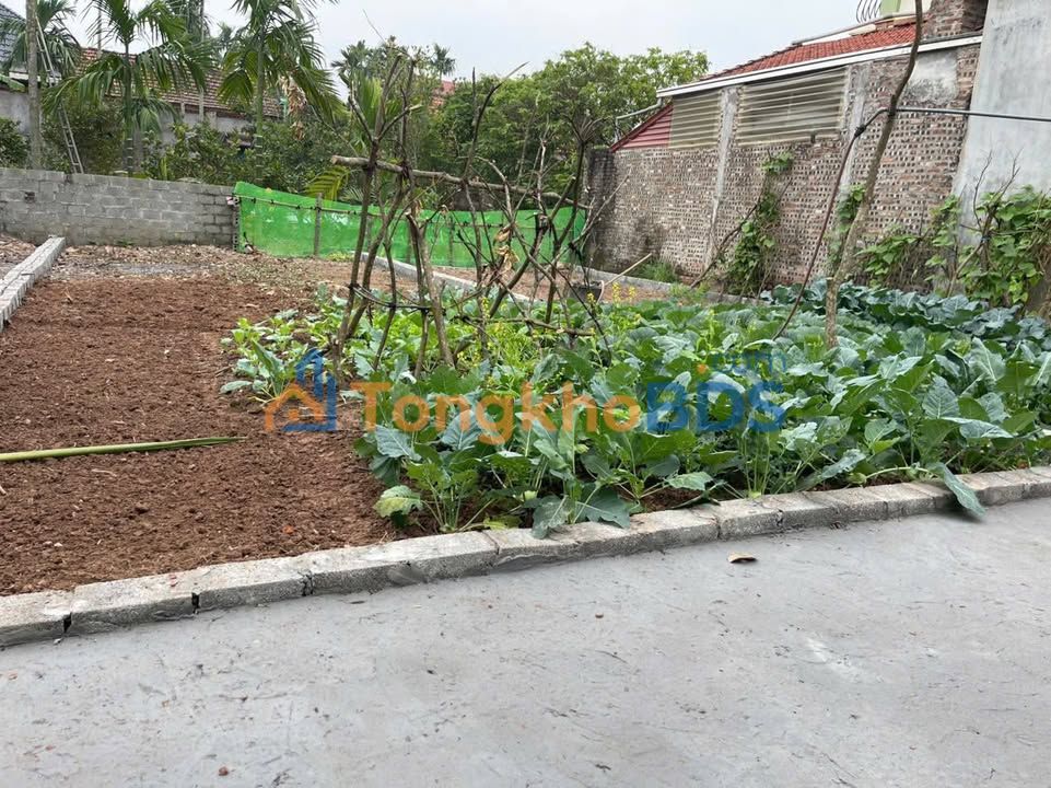 Đất Nền Hưng Yên 62m² - Sổ Hồng Chính Chủ, Giá Tốt