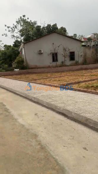 Đất nền Phú Thọ 160m² - Sổ đỏ chính chủ, giá chỉ 4xx triệu