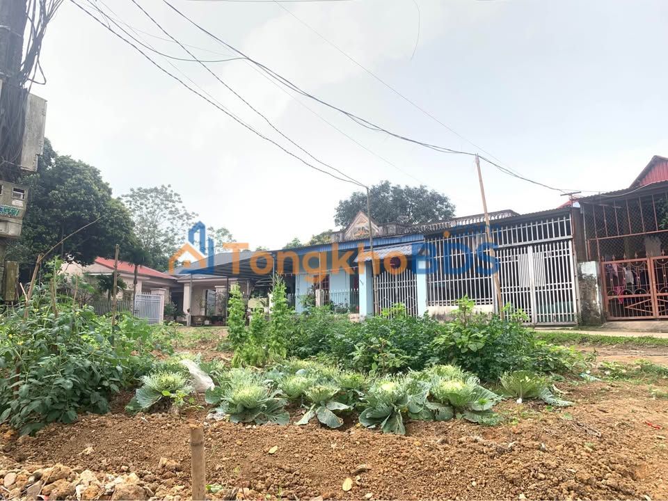 Đất 3 Mặt Tiền 265m² Phường Thịnh Đán - Giá 1.8 Tỷ, Sẵn Ở