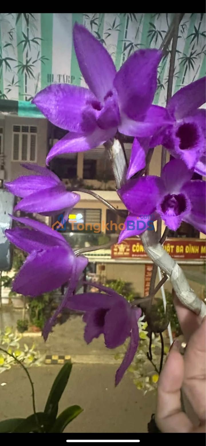 Nhà 2 Tầng 1 Tum 65m² Lò Chum, TP Thanh Hóa - Giá 2 Tỷ, Sẵn Sàng Vào Ở Ngay