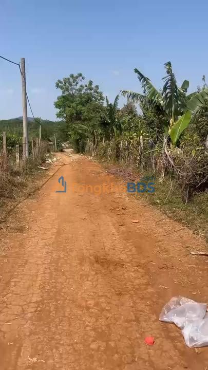 Bán Gấp Farm 22.680m² Gia Lai - 400 Cây Sầu Riêng, 1.5 Tỷ TL