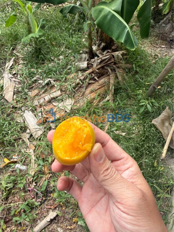 Nhà 2 Lầu KDC Thới Nhựt, Cần Thơ - 40m² Giá Tốt, Hoàn Công