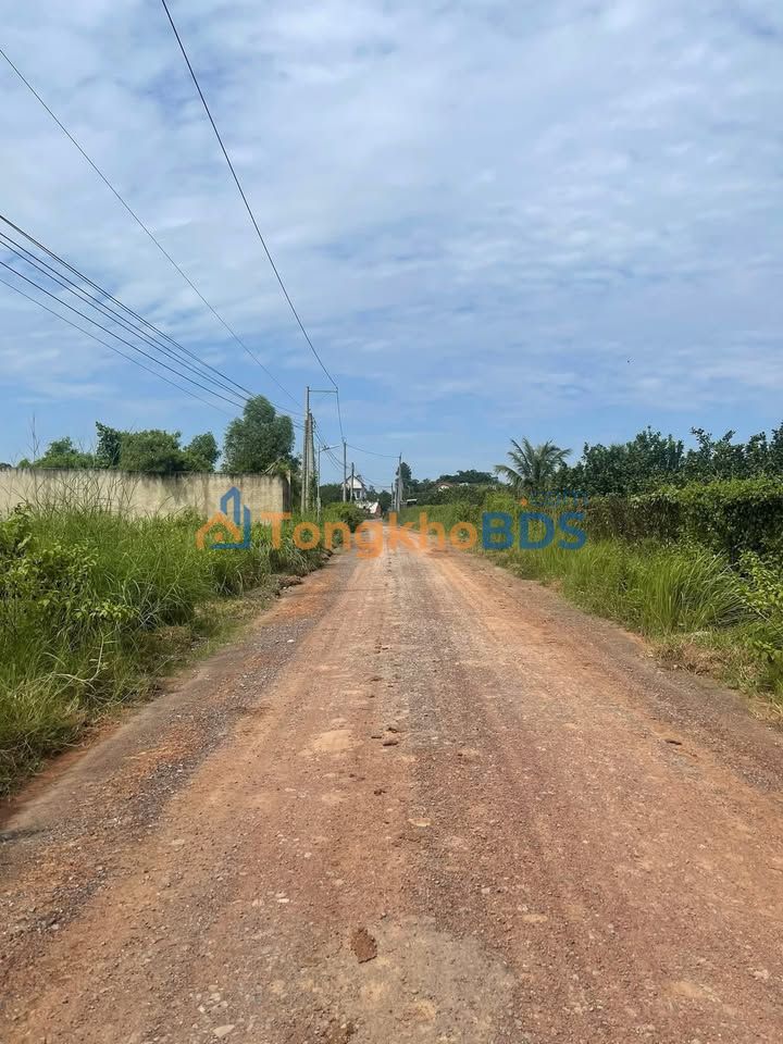 Bán gấp đất 384m² sổ hồng tại Trảng Bàng, Tây Ninh - Giá 850 triệu