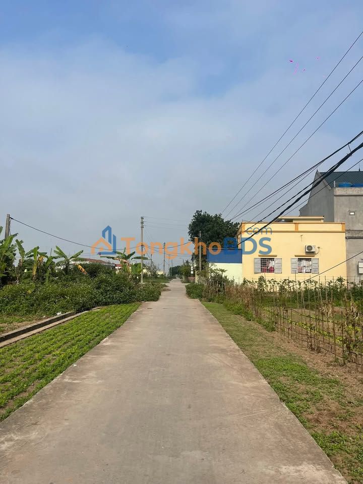 Đất nền Tiền Hải 90m² giá tốt - Sổ đỏ sẵn sàng giao dịch