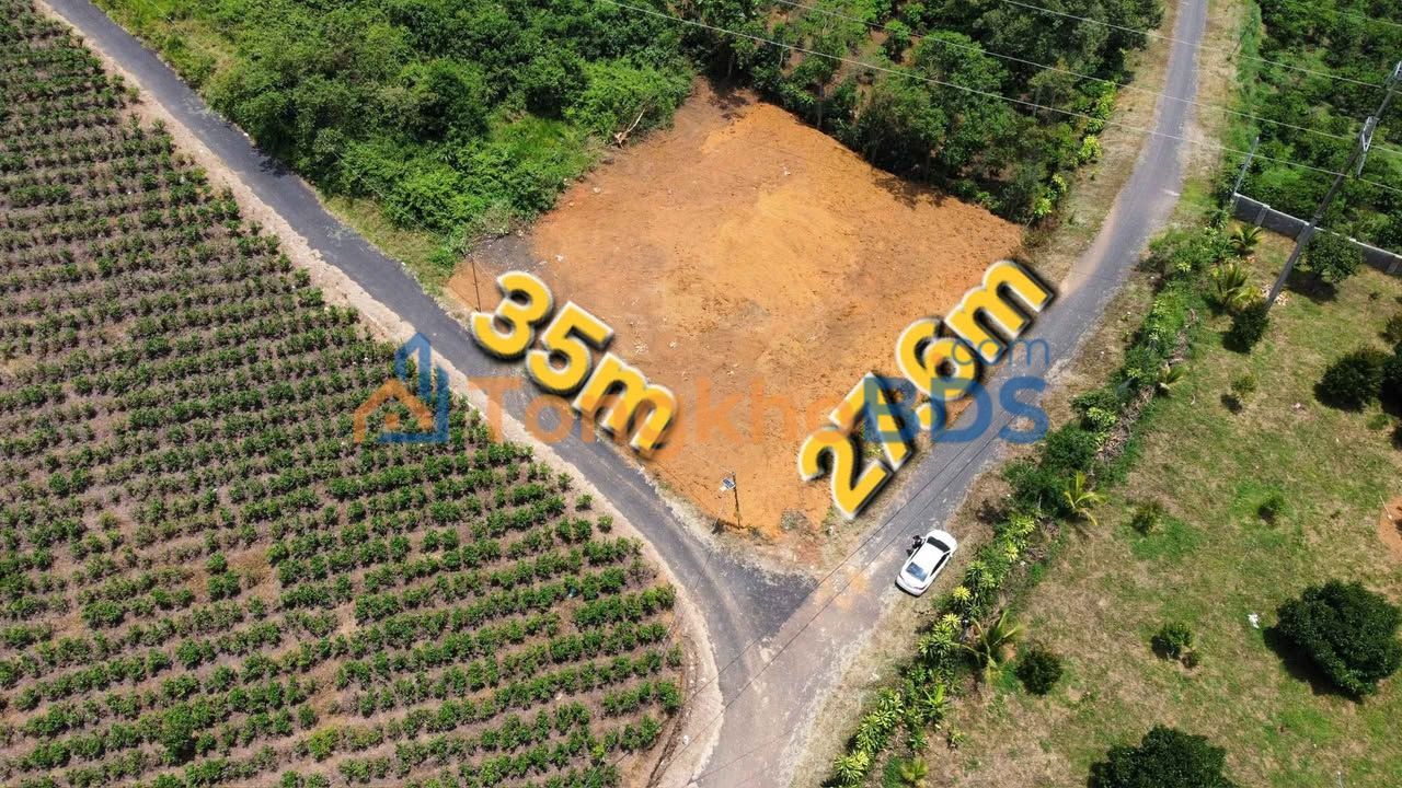 Đất Lô Góc 1000m² Triệu Quang Phục, Bảo Lộc - Hai Mặt Tiền Đường Nhựa