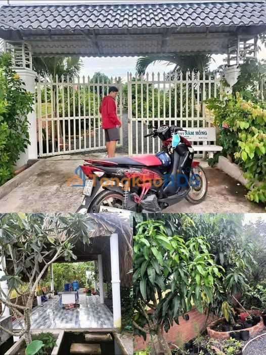 Đất Nhơn Trạch 520m² Sổ Riêng - Giá 499 Triệu