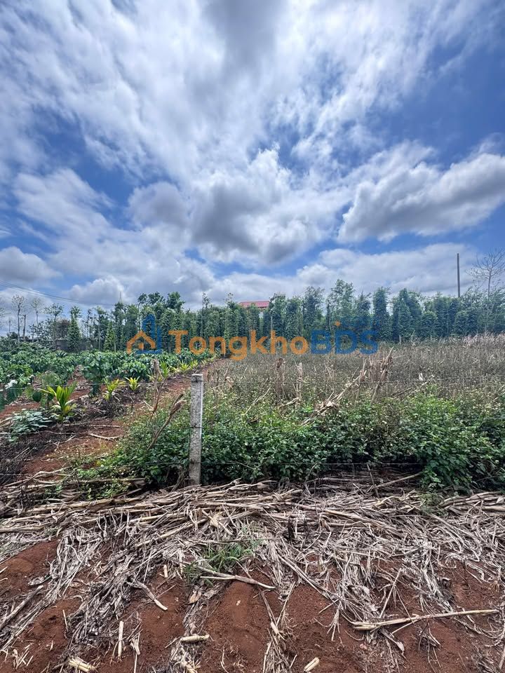 Đất Nền Đắk Lắk - Mặt Tiền Đường Tránh 156m² - Giá Đầu Tư 3.57 Tỷ