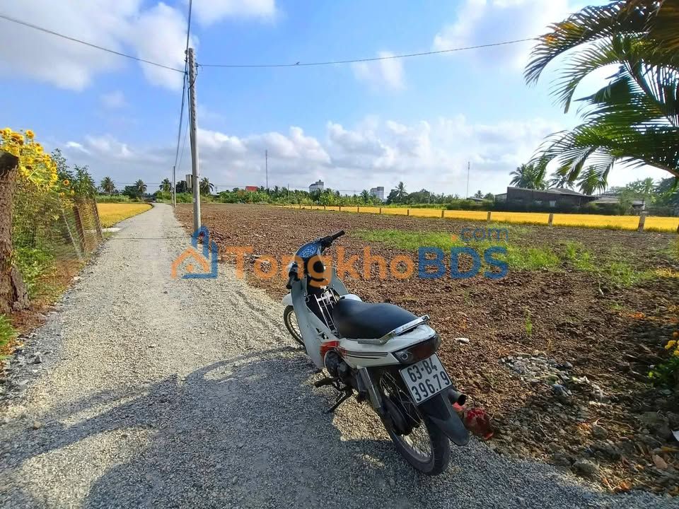 Đất nền Gò Công Tây 110m² - 350 Triệu/lô, Sổ Thổ Cư Sẵn