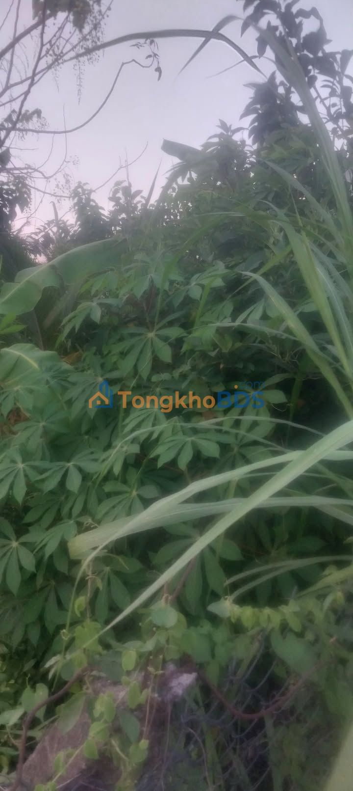 Đất Gò Công 105m² - 2 Mặt Tiền Đường Xe Hơi, Full Thổ Cư, Giá 1.6 Tỷ