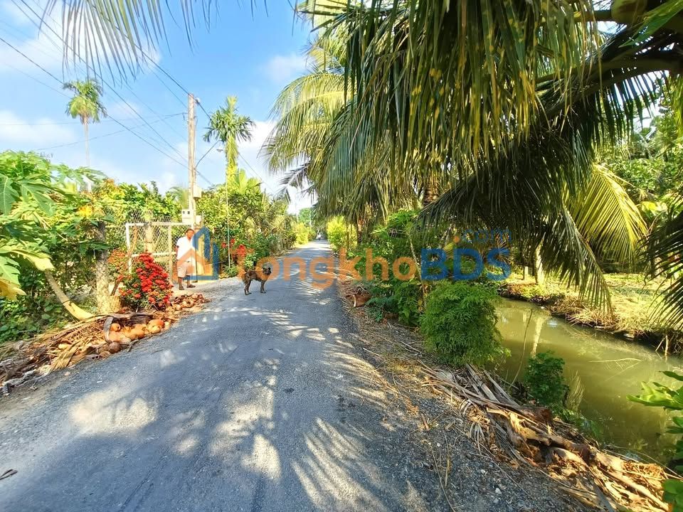 Bán Gấp Nhà 168m² Đường Nhựa Đăng Nẵm, Chợ Gạo - Sổ Sẵn 850 Triệu