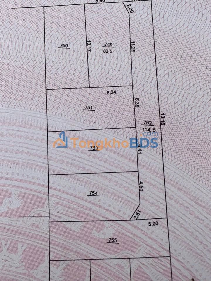 Đất Thổ Cư Trục Chính Chương Dương - Thường Tín 83.5m² - Sổ Đỏ Sẵn Sàng