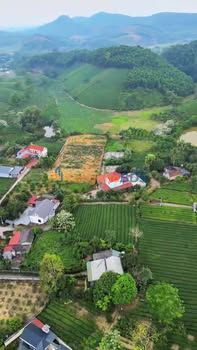 Bán Đất Nghỉ Dưỡng 2500m² view đồi chè - Sẵn nhà 2 tầng full nội thất tại Thanh Sơn, Phú Thọ