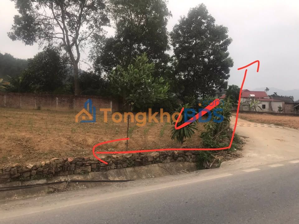 Bán đất Tạ Xá, Cẩm Khê, Phú Thọ - 95m² hai mặt tiền, chỉ hơn 1 tỷ