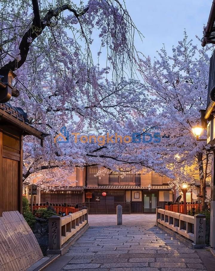 Bán Đất Mặt Tiền Nhơn Phú - Quy Nhơn 76m² - Giá 2 Tỷ