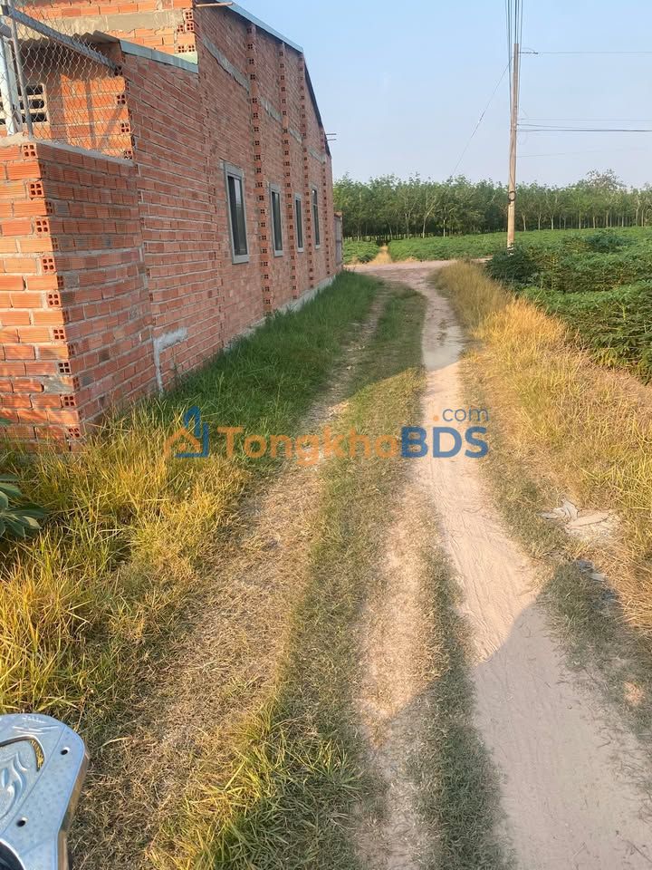 Bán gấp đất nền 2100m² tại Châu Thành, Tây Ninh - Giá 350 triệu