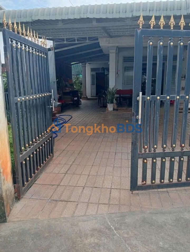 Bán Đất 400m² Mặt Tiền Đường Bê Tông Châu Thành, Tây Ninh - Giá Tốt