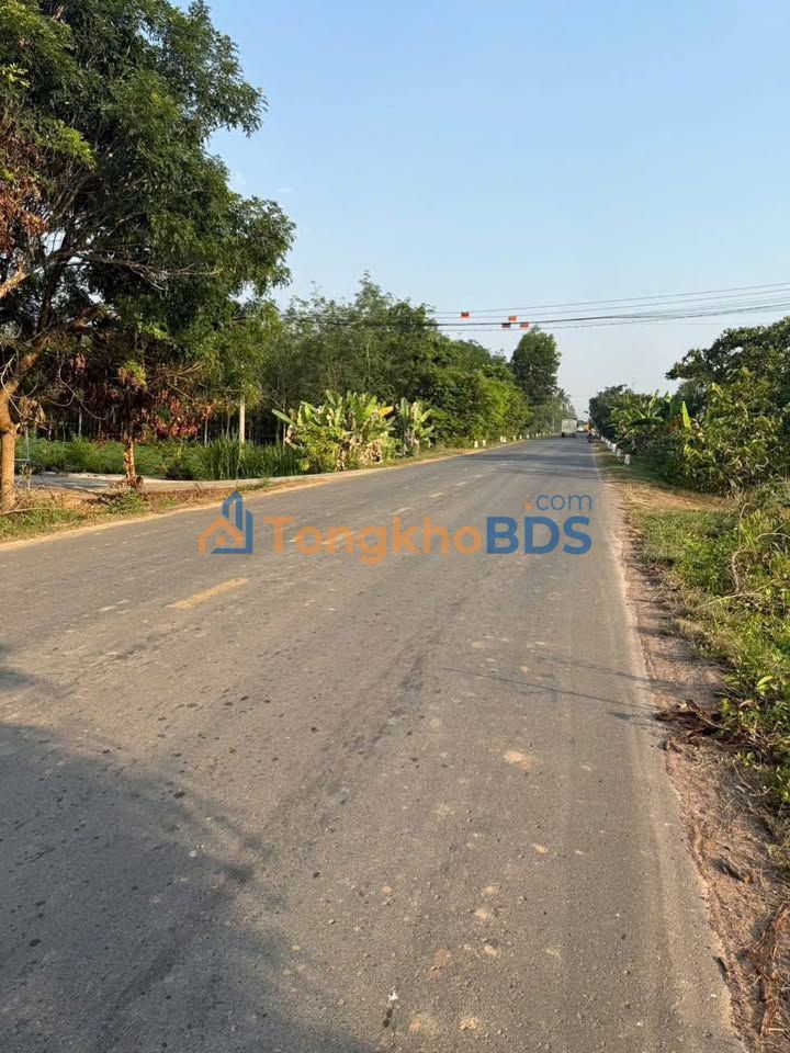 Bán Đất Mặt Tiền 788 DT, Châu Thành, Tây Ninh - 258m² Giá 12.6 Tỷ