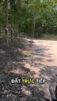 Bán Đất Cao Su 16.000m² Xã Suối Ngô, Tân Châu - 21 Tỷ