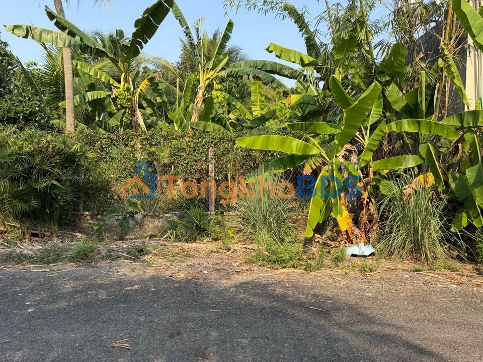 Đất thổ cư 174m² Ninh Sơn - Sổ hồng sẵn, đường nhựa 10m