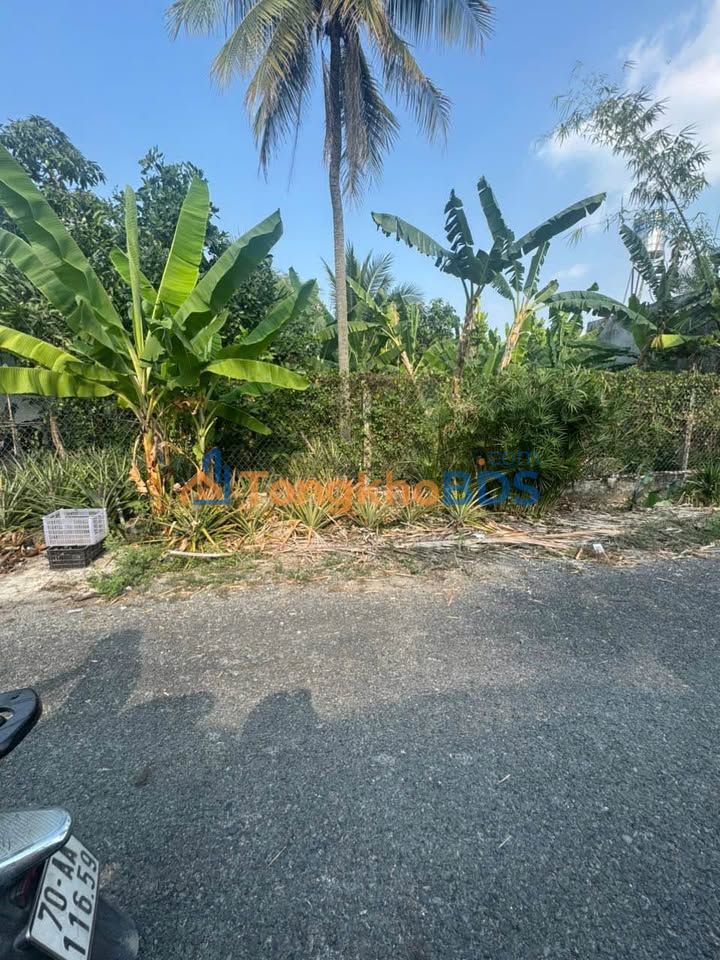 Bán Gấp Lô Đất Ninh Thọ, Ninh Hòa 174m² - Sổ Đỏ Vuông Vắn