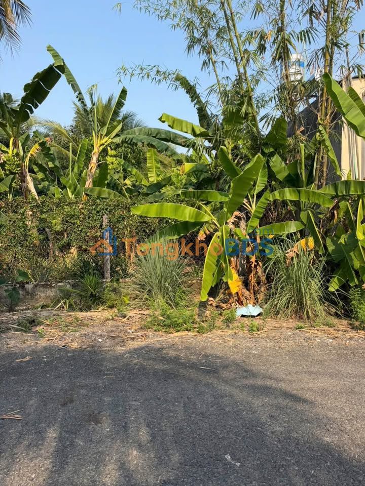 Đất Thổ Cư Ninh Sơn 174m² - Mặt Tiền Đường Nhựa 10m, Dân Đông Đúc