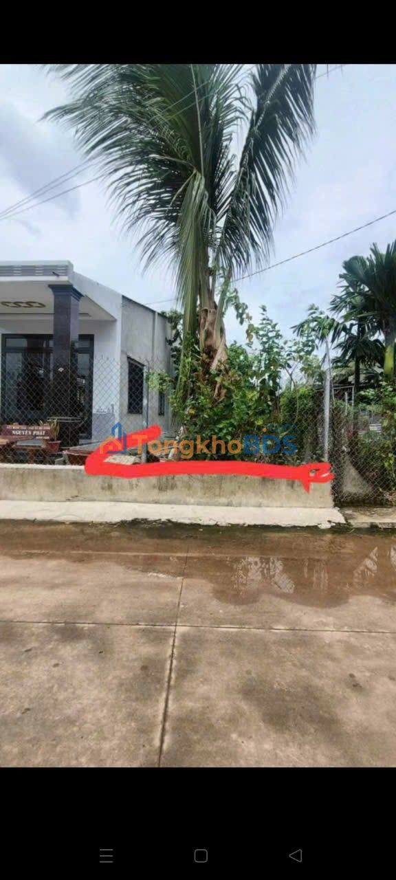 Đất Nền Cầy Xiêng, Châu Thành, Tây Ninh - 125m² - Sổ Hồng Sẵn Sàng