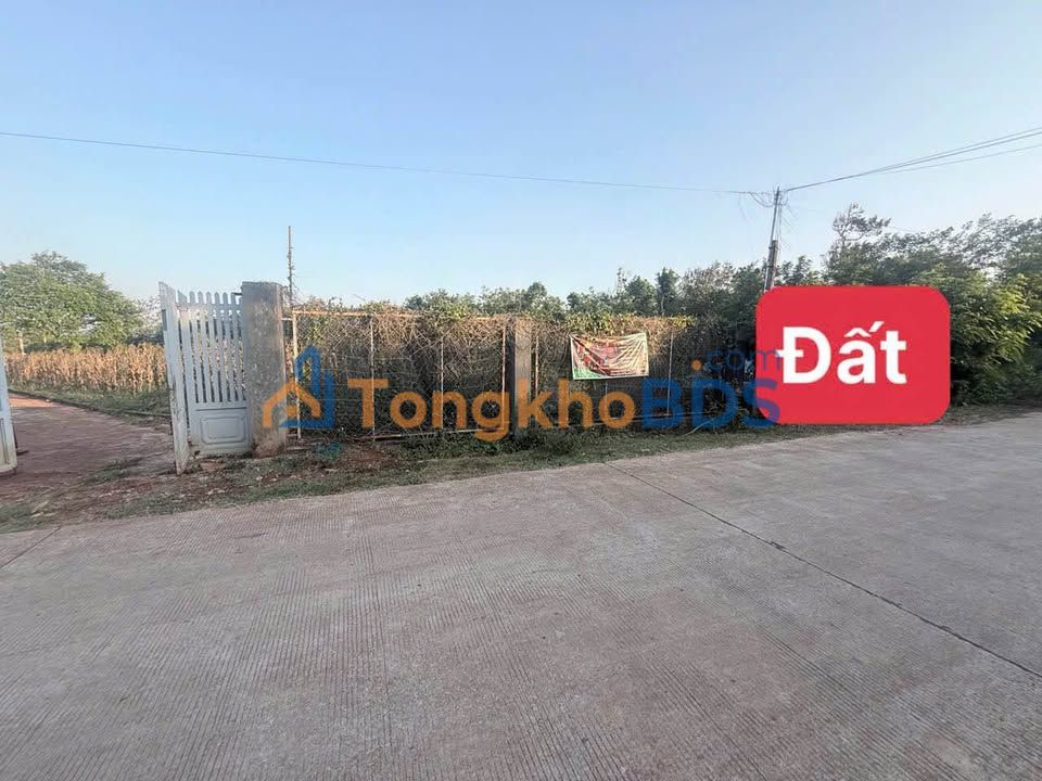 Đất Vườn Buôn Ma Thuột 1000m² - Sổ Riêng Giá 986 Triệu