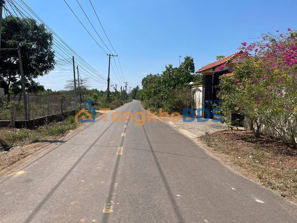 Đất nền mặt tiền Trịnh Hoài Đức, Xuân Lộc - 186m² full thổ cư, giá 780 triệu