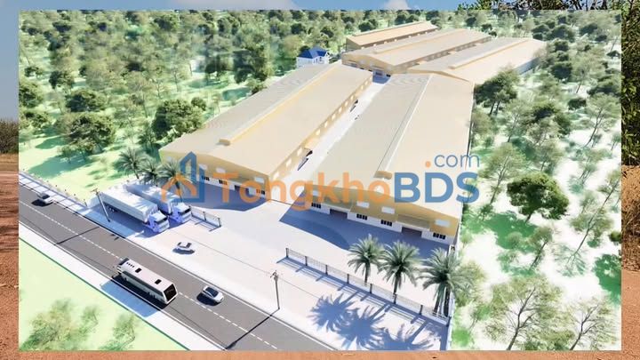 Đất Vàng 2ha Mặt Tiền Vành Đai Đồng Phú - Sẵn Sàng Đầu Tư