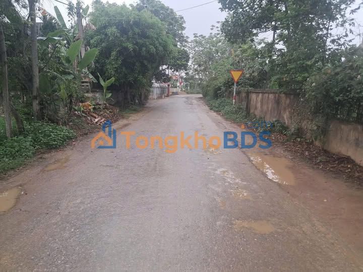 Đất Nền Ngọc Lặc - 305m² Mặt Đường Nhựa Thọ Diên - Giá Tốt