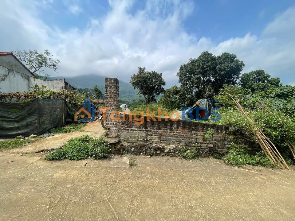 Đất nền Thạch Thất 560m² view đồng - Sổ đỏ chính chủ