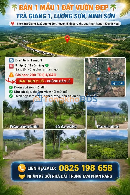 Đất Vườn 11.000m² Ninh Sơn - Sổ Hồng Riêng, Giá Đầu Tư 11 Tỷ