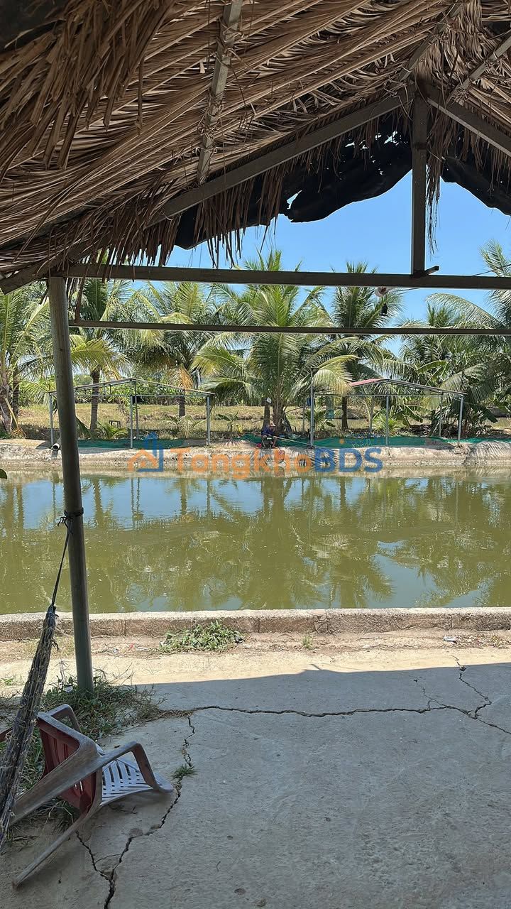 Bán gấp trang trại 5000m² Hồng Sơn - Kinh doanh hồ câu, vườn trái cây sinh lời cao