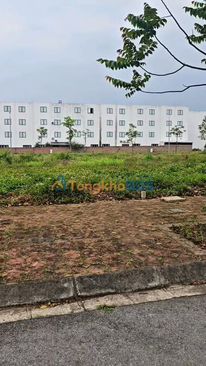 Đất nền TNR Thắng City 100m² - Hướng Nam Giá Tốt Đầu Tư