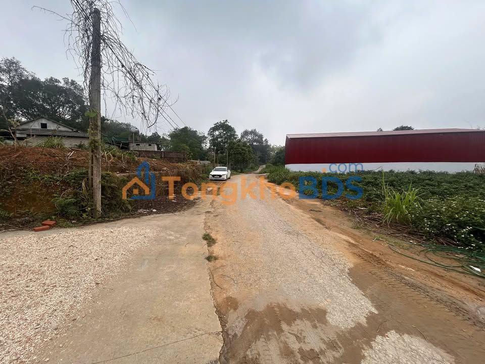 Đất Nền Phú Thọ 100m² Giá Đầu Tư 6xx-7xx Triệu - Sổ Đỏ Rõ Ràng