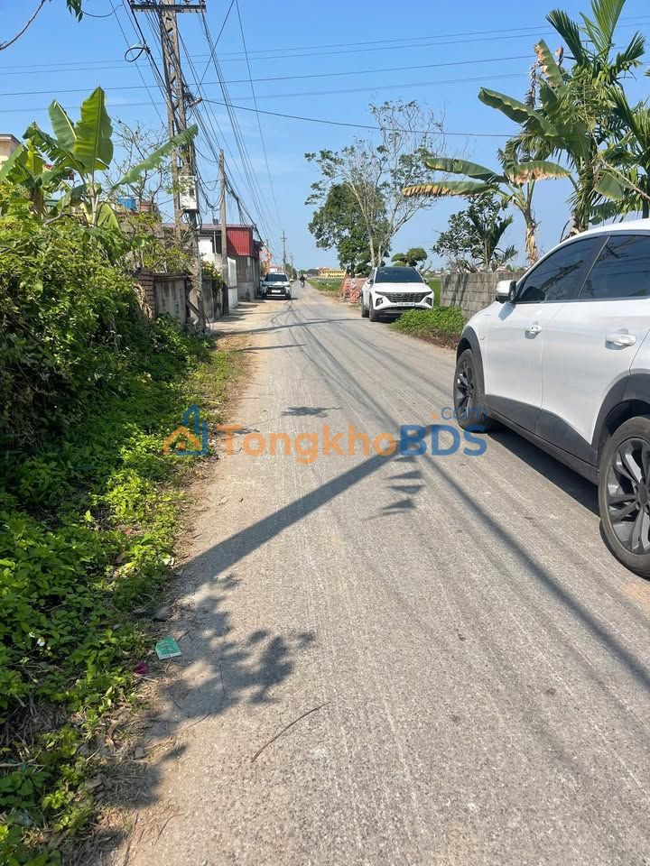 Đất Nền Thái Thụy - Sổ Đỏ Trao Tay, Kinh Doanh Đắc Lợi 90.5m²