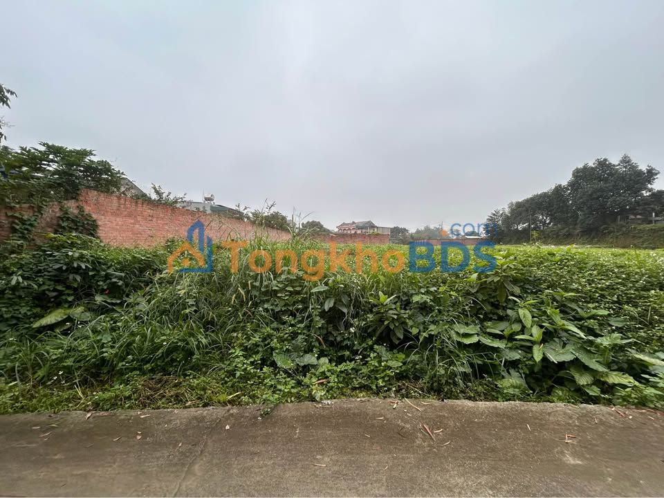 Đất Nền 195m² Mặt Tiền Rộng, Giáp KCN Phú Hà, Phú Thọ - Giá 1.5 Tỷ