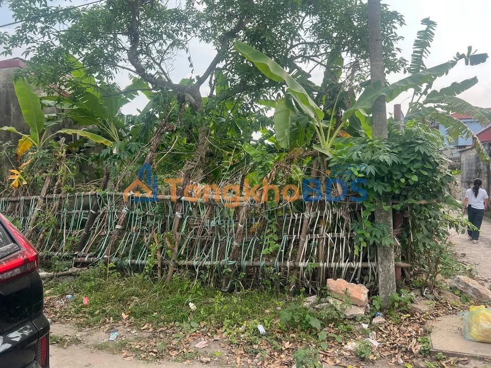 Đất Lô Góc Mặt Tiền Đường 73, Tam Điệp, Ninh Bình - 92m² Kinh Doanh Đa Ngành