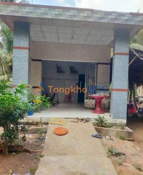 Bán Gấp Farm Vườn Dừa 980m² Phường An Hội, Vĩnh Long - Giá 550 Triệu